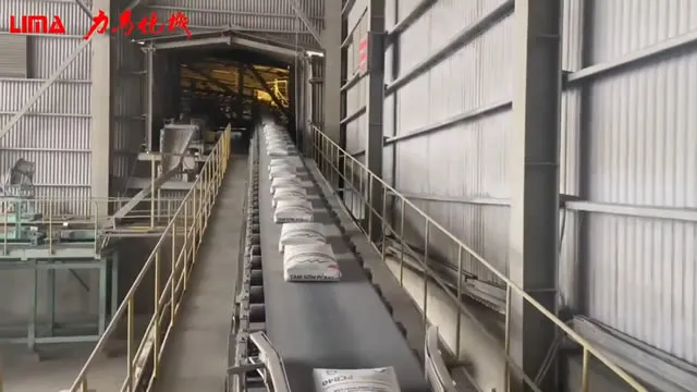 Máquina automática de ensacado y paletizado para una empresa cementera de Vietnam