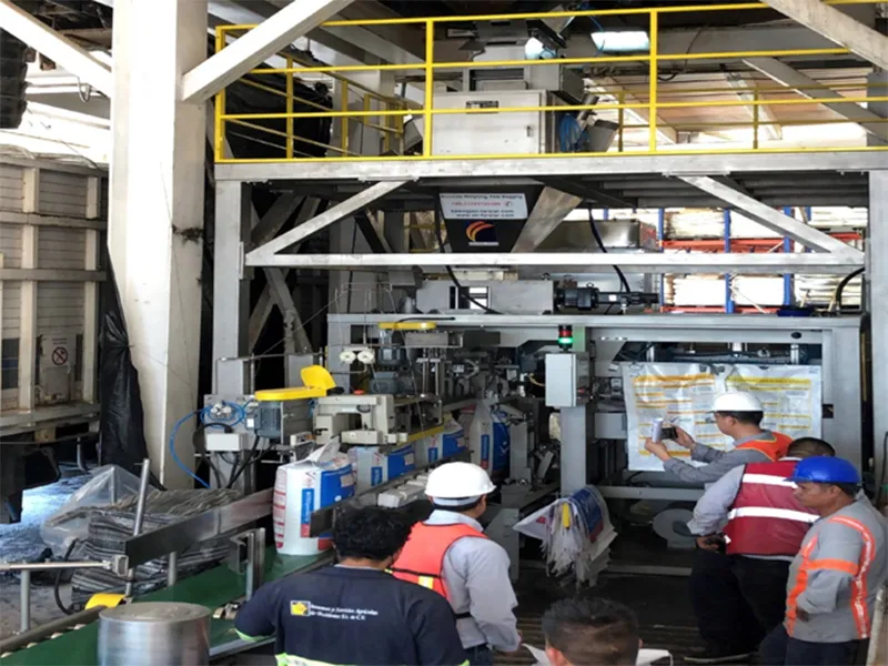 Máquina de ensacado y paletizado para nuestro cliente ISAOSA en México